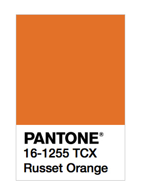 Pantone Buff Orange  Pantone orange, Pantone colour palettes, Pantone color