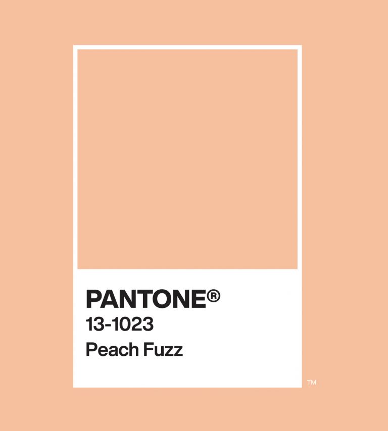 Pantone Color Of The Year 2024 131023 Peach Fuzz Fashion Trendsetter