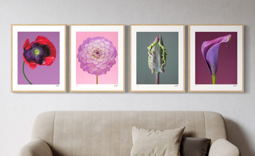 Fine Art Prints from the Flora Fine Art Photography Collection by Tim Platt.