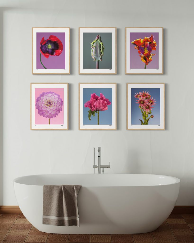 Fine Art Prints from the Flora Fine Art Photography Collection by Tim Platt.