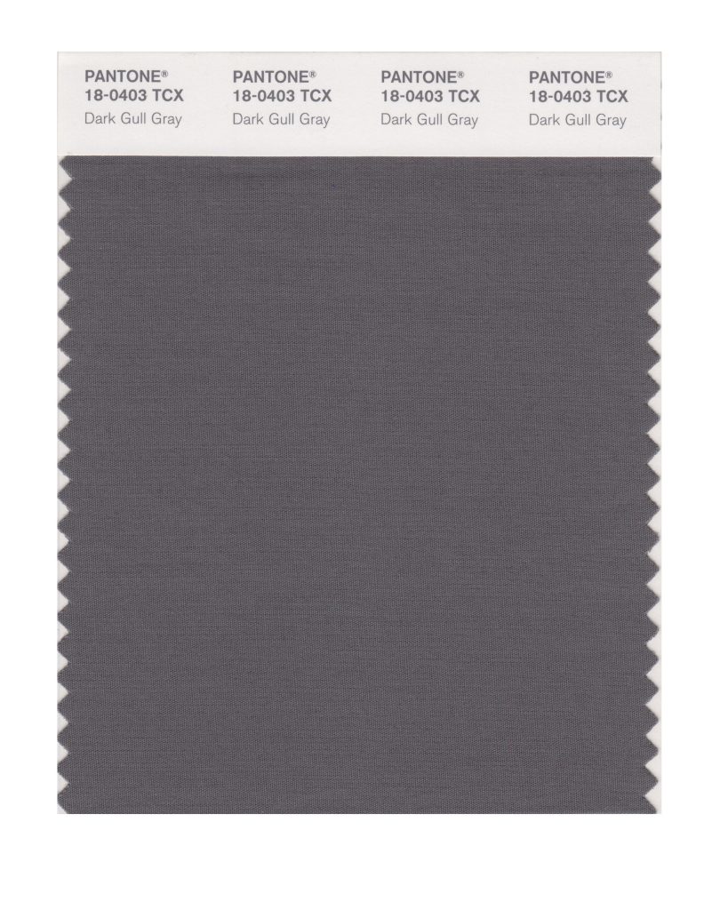 PANTONE 18-0403 TCX Dark Gull Gray Color Swatch courtesy of Pantone.