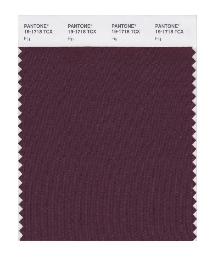 PANTONE 19-1718 TCX Fig Color Swatch courtesy of Pantone.